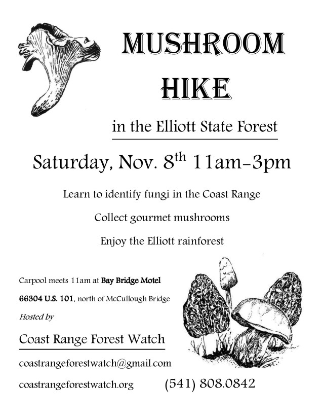 mushroomhike-page-001