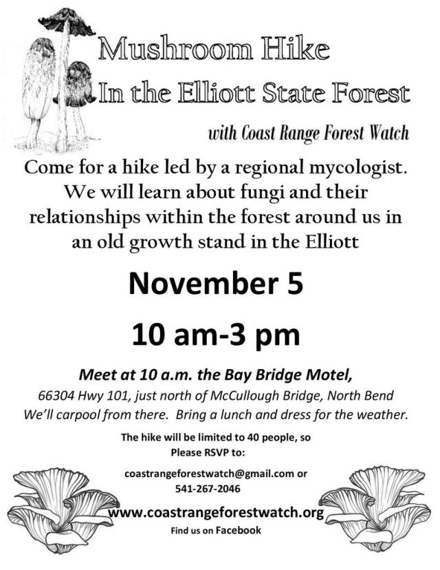 fall20mushroom20hike_zpsxqhogkuj