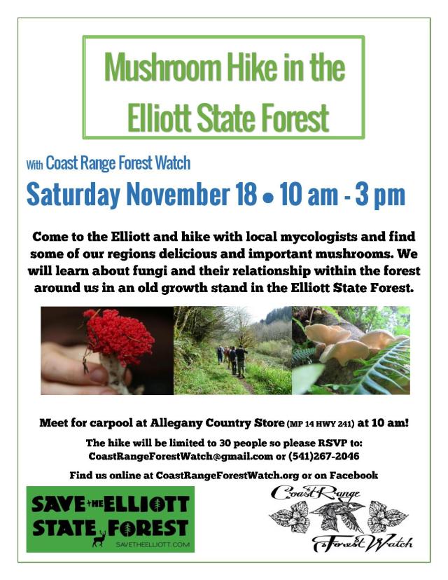 Mushroom hike 2017-page-001